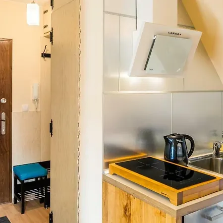 Lejlighed Dubajowka Kościelisko